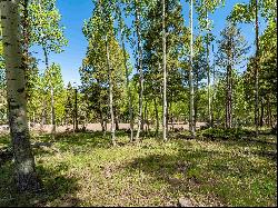 Lot 437 El Camino Real, Angel Fire NM 87710