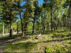 Lot 437 El Camino Real, Angel Fire NM 87710