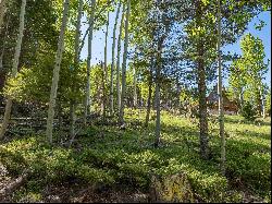 Lot 437 El Camino Real, Angel Fire NM 87710