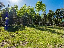 Lot 437 El Camino Real, Angel Fire NM 87710