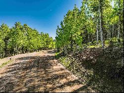 Lot 437 El Camino Real, Angel Fire NM 87710