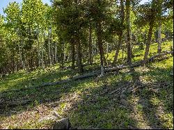 Lot 437 El Camino Real, Angel Fire NM 87710