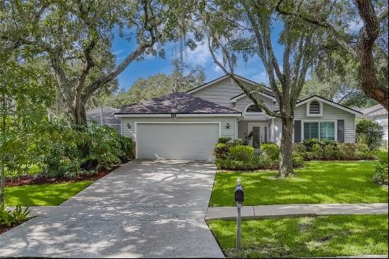 3594 Deer Run S, Palm Harbor FL 34684