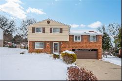 456 Parkridge Dr, Bethel Park PA 15102