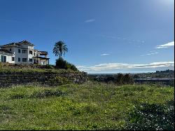 Extensive plot with sea views in El Herrojo, La Quinta, Benahaví, Benahavís 29679