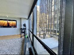 900 N Lake Shore Drive #405, Chicago IL 60611