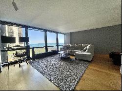 900 N Lake Shore Drive #405, Chicago IL 60611