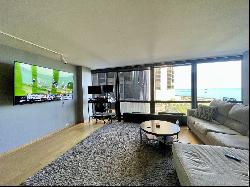 900 N Lake Shore Drive #405, Chicago IL 60611