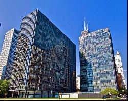 900 N Lake Shore Drive #405, Chicago IL 60611