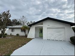 14505 Farm Hills Place, Tampa FL 33625