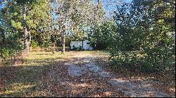 208 N Beech Ave, Andrews SC 29510