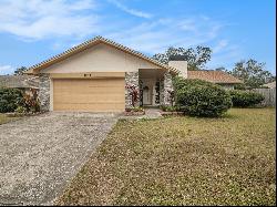 14704 Willet Way, Tampa FL 33625