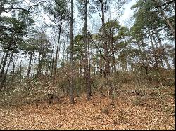 Lot 30 Noxubee Street, Shreveport LA 71119