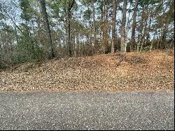 Lot 30 Noxubee Street, Shreveport LA 71119