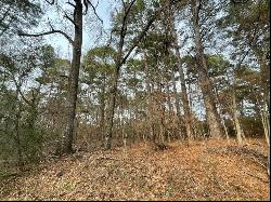 lot 32 Noxubee Street, Shreveport LA 71119