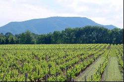 WINERY IN PROVENCE