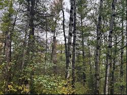 160 Acres of Beautiful Forested Land in the Heart of Bayfield County!