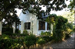 A SCENIC FARM IN THE WINELANDS