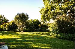 A SCENIC FARM IN THE WINELANDS