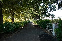 A SCENIC FARM IN THE WINELANDS