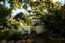 A SCENIC FARM IN THE WINELANDS