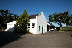 A SCENIC FARM IN THE WINELANDS