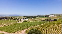 92 HA WINE FARM OF WHICH 75 HA'S OF VINEYARDS, SEVEN CULTIVARS PLUS A VIEW OF TABLE MOUNT