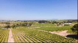 92 HA WINE FARM OF WHICH 75 HA'S OF VINEYARDS, SEVEN CULTIVARS PLUS A VIEW OF TABLE MOUNT