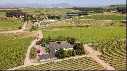 92 HA WINE FARM OF WHICH 75 HA'S OF VINEYARDS, SEVEN CULTIVARS PLUS A VIEW OF TABLE MOUNT