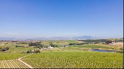 92 HA WINE FARM OF WHICH 75 HA'S OF VINEYARDS, SEVEN CULTIVARS PLUS A VIEW OF TABLE MOUNT