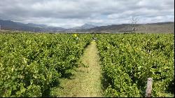 HOUT BAAI FARM ESTATE