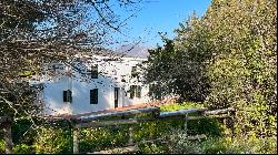 HOUT BAAI FARM ESTATE