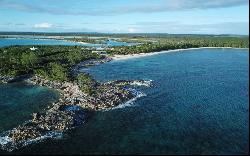 Bahamas, Flamingo Hills