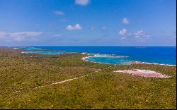 Wood Hill Northeast of Gordon's Settlement, Gordon's