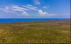 Wood Hill Northeast of Gordon's Settlement, Gordon's