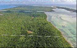 Samuel Sands Tract, Savannah Sound