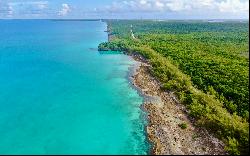 Samuel Sands Tract, Savannah Sound