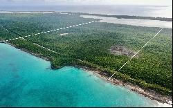 Samuel Sands Tract, Savannah Sound