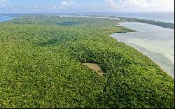 Samuel Sands Tract, Savannah Sound