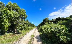 The Island Beach Club Subdivision, Governor's Harbour