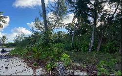 200 Acre Tract, Mangrove Cay