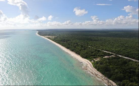 200 Acre Tract, Mangrove Cay