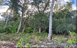 200 Acre Tract, Mangrove Cay