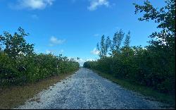 200 Acre Tract, Mangrove Cay