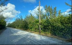 200 Acre Tract, Mangrove Cay