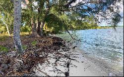 200 Acre Tract, Mangrove Cay