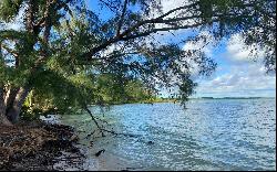 200 Acre Tract, Mangrove Cay