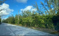 200 Acre Tract, Mangrove Cay