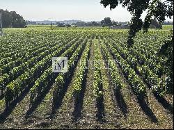 Exclusivity - for sale emblematic Bordeaux vineyard estate with exceptional terroir!