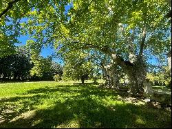 Magnificent Provencal property - Saint-Remy-de-Provence